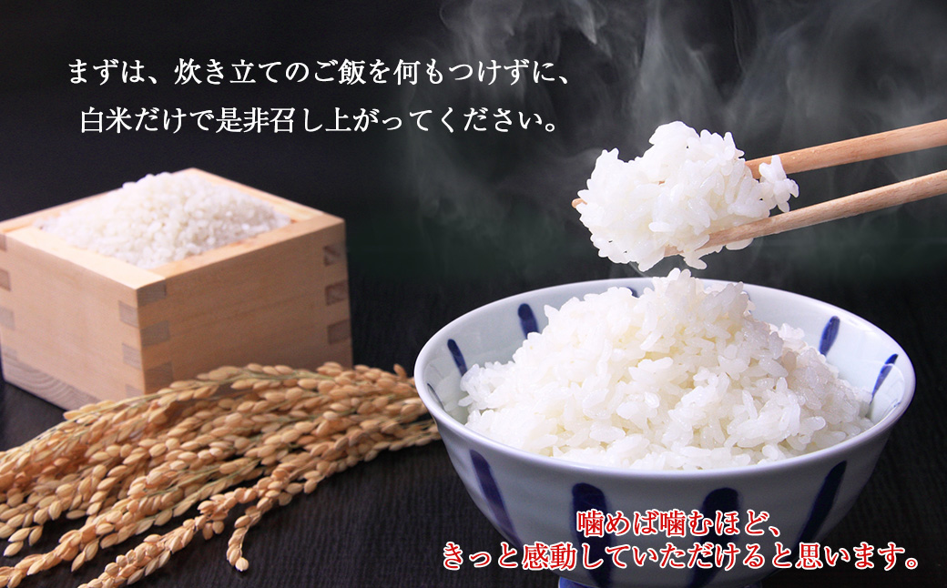 減農薬栽培　岩手花巻産ひとめぼれ無洗米５㎏ 【510】