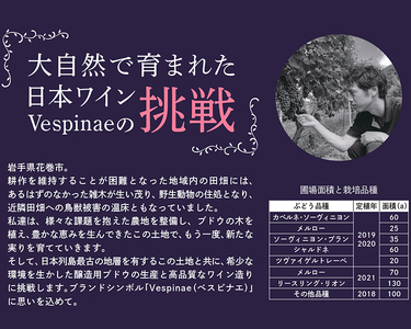 Vespinae（ベスピナエ）  2023 岩手シャルドネ 750ml×1本　【1699】