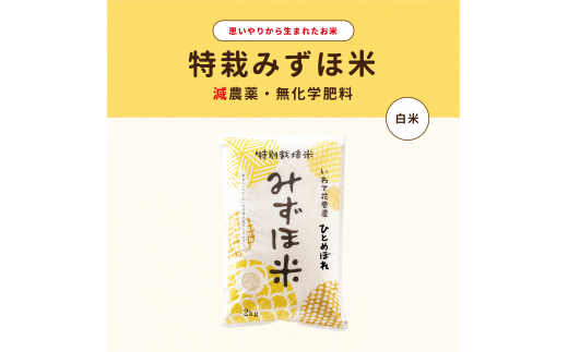 特別栽培みずほ米 ひとめぼれ 白米 2kg 【1749】