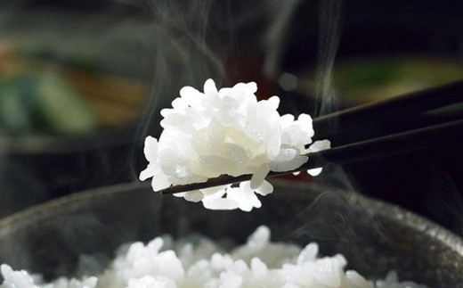 ã€ãããã 粟米 5kg ã1398ã