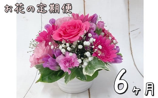 お花の定期便 フラワーアレンジメント 6ヶ月連続届く 【759】