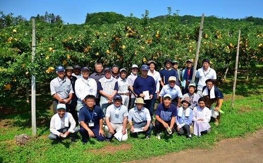 そばかすりんご 冬恋はるか 自家用 （サビあり） 約2.5kg　≪予約受付≫【1666】