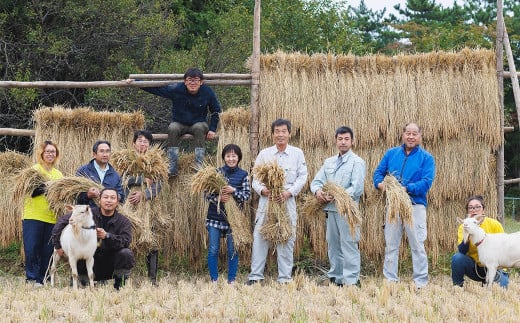 特別栽培みずほ米 ササニシキ 白米 5kg 【1758】