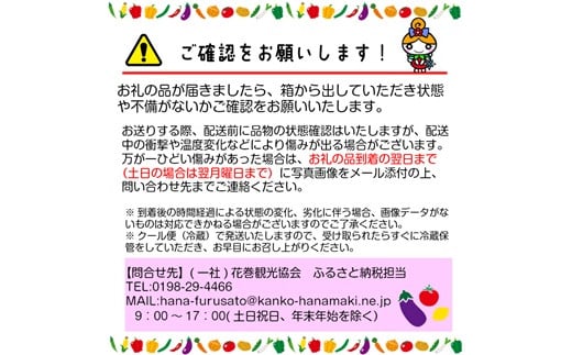 【定期便6ヶ月コース】 イーハトーヴ野菜B  満足セット 9～11品  詰め合わせ 【1205】