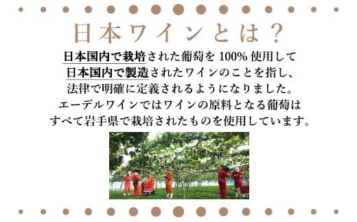 岩手県花巻産 甘口飲み比べエーデルワイン厳選４本セット 【386】