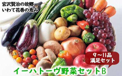 イーハトーヴ野菜B  満足セット  9～11品  詰め合わせ 【1203】