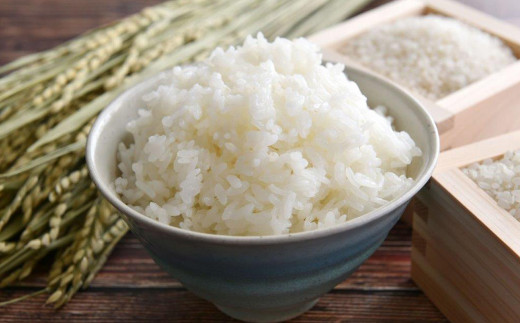 ã€ãããã 粟米 5kg ã1398ã