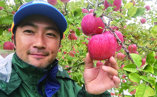 【ご家庭用】味の良い岩手のサンふじ！花巻産約5kg【予約受付】 【276】