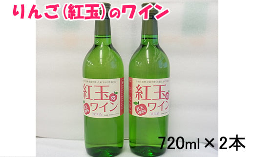 花巻産りんご「紅玉」のワイン  720ml×2本 【993】
