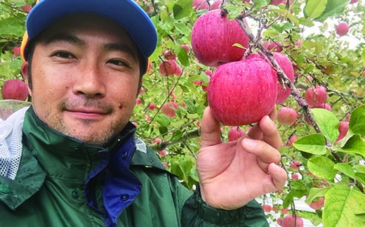 【贈答用】高級りんごはるか・サンふじ詰合せ！花巻産約3kg【1246】