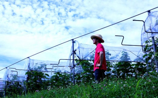 ããŒã¹ã©ãŒ ã¯ã€ã³ KANTA WINE 2024ïŒèµ€ïŒ 750mlÃ1æ¬ ã711ã