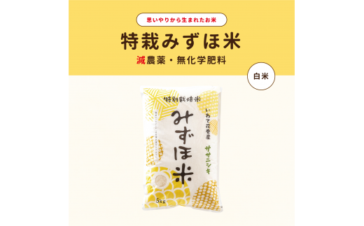 特別栽培みずほ米 ササニシキ 白米 5kg 【1758】