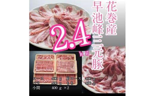 早池峰三元豚　2.4kgセット 【374】