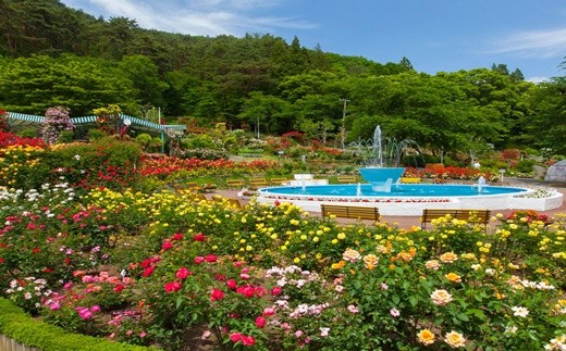 花巻温泉　佳松園宿泊券とレンタカーで花巻の旅ペア 【214】