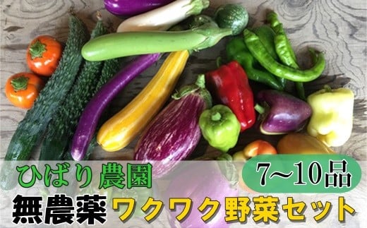 ひばり農園の無農薬ワクワク野菜セット 【289】