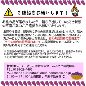 《9月発送/先行予約受付中》キャンベル・アーリー 約5~6房（かんたぶどう） 【710】