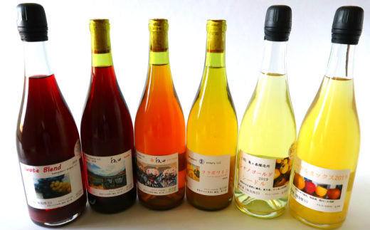 シードル＆ワイン厳選６本（750ml）セット 【330】