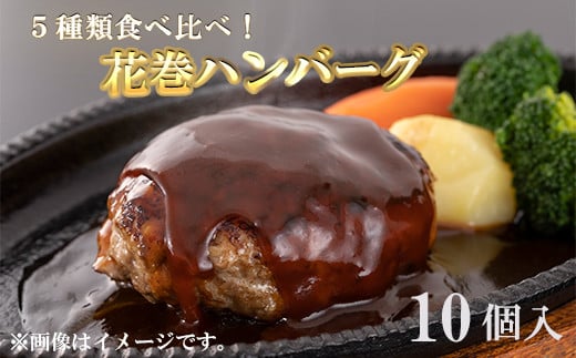 花巻ハンバーグセット（ダブル10個入）5種詰め合わせ 【762】