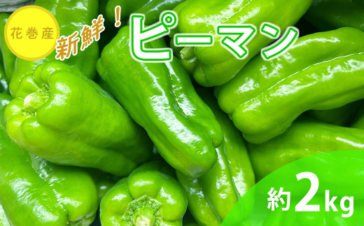 新鮮野菜 ピーマン 約2kg 　【1637】