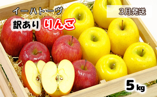 イーハトーヴ 訳アリ りんご 約５ｋｇセット《2026年3月より発送予定/予約受付》 【280-3】