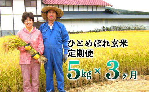 【3ヶ月定期便】減農薬栽培 ひとめぼれ玄米5kg【1108】