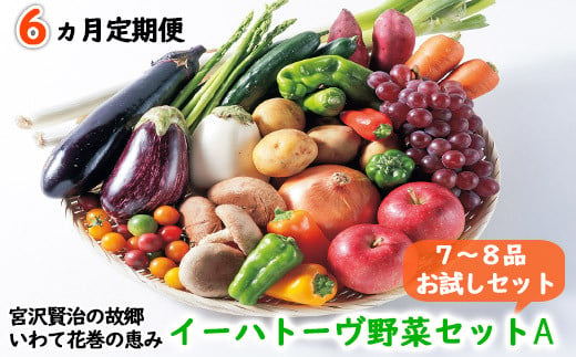 ＜2025年4月より発送開始＞【定期便６ヶ月コース】イーハトーヴ野菜A お試しセット  7～8品 詰め合わせ 【294】