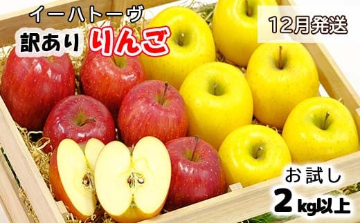 イーハトーヴ 訳あり りんご お試し （2kg以上）セット《12月より発送予定/予約受付》 【005-12】