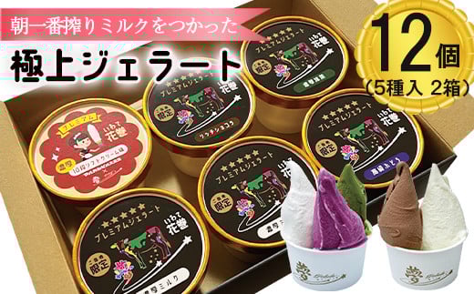 花巻発！極上ジェラート12個セット 120ml×厳選5種類 【1422】