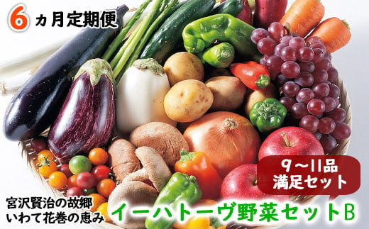 ＜2025年3月より発送開始＞【定期便6ヶ月コース】 イーハトーヴ野菜B  満足セット 9～11品  詰め合わせ 【1205】