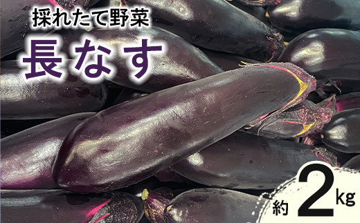  新鮮野菜  長茄子 約 2kg 詰め合わせセット 【1286】