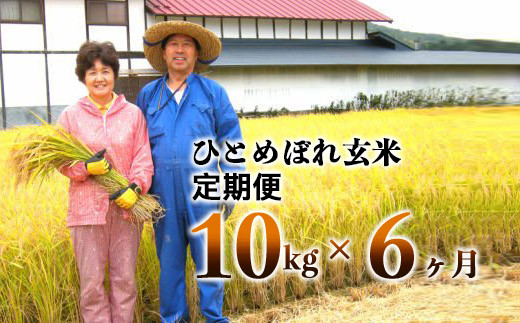 【6ヶ月定期便】減農薬栽培 ひとめぼれ 玄米 10kg（5kgx2袋） 【1112】