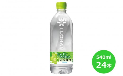 い･ろ･は･す シャインマスカット 540mlPET×24本セット 【1418】