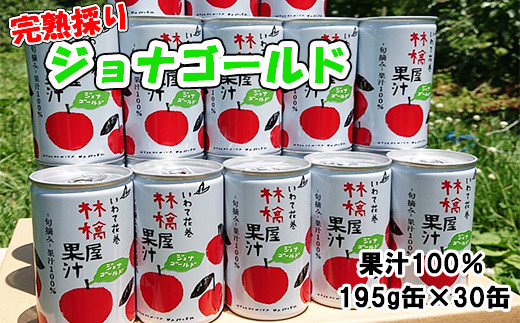 岩手県花巻市滝田産　宇津宮果樹園の林檎屋果汁りんごジュース30缶セット【ジョナゴールド】【635-2】