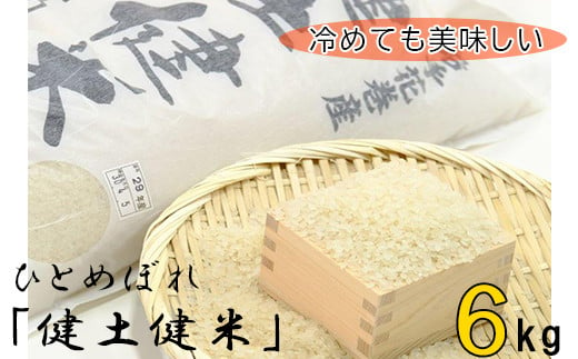 岩手花巻産「健土健米」ひとめぼれ 6kg 【111】