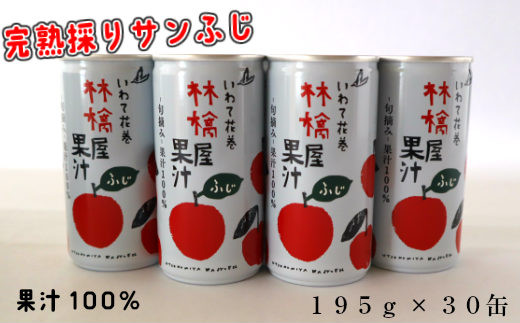 果汁100%！宇津宮果樹園の林檎屋果汁りんごジュース30缶セット 【サンふじ】【635-1】