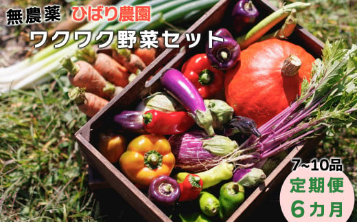 【定期便6回】ひばり農園の無農薬ワクワク野菜セット 【594】