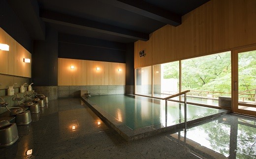 æŸåæž©æ³ãæ ã®æ¹¯é¢šã®å£å®¿æ³åžãšã¬ã³ã¿ã«ãŒã§è±å·»ã®æ
ã㢠ã217ã