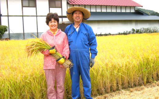 減農薬栽培　岩手花巻産ひとめぼれ玄米５kg 【509】