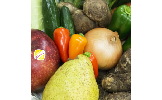 イーハトーヴ野菜B 満足セット 9品～ 詰め合わせ 【1203】