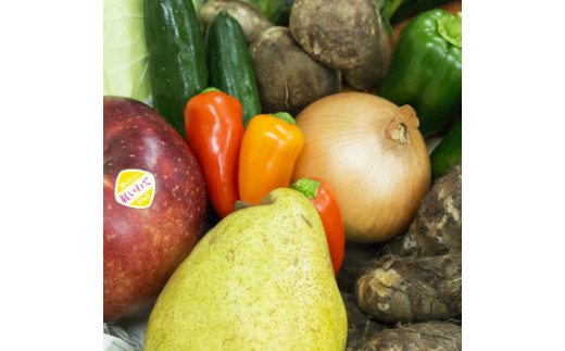 【定期便12ヶ月】イーハトーヴ野菜B 満足セット 9品～ 詰め合わせ 【1206】