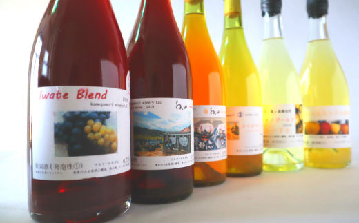 シードル＆ワイン厳選６本（750ml）セット 【330】