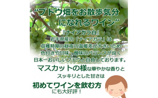 蟯ゥ謇狗恁闃ア蟾サ逕」 逕伜哨鬟イ縺ソ豈斐∋繧ィ繝シ繝繝ォ繝ッ繧、繝ウ蜴ウ驕クシ疲悽繧サ繝繝 縲386縲