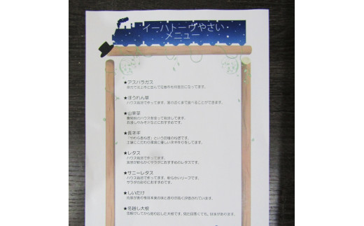 【定期便6ヶ月】イーハトーヴ野菜C もりもりセット 11品～ 詰め合わせ 【1209】