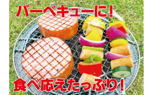 ロースハムロングL1.7kg ／ ハム原木 原木ハム 業務用 ハムブロック 原木 BBQ 【946】