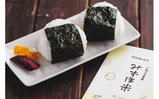 特別栽培みずほ米 銀河のしずく 白米 20kg（10kg×2袋） 【1756】