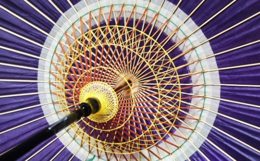æãéããŠä»ã«äŒããçŸãããè±å·»åãèã®ç®åïŒçŽ«ïŒ ã662-2ã