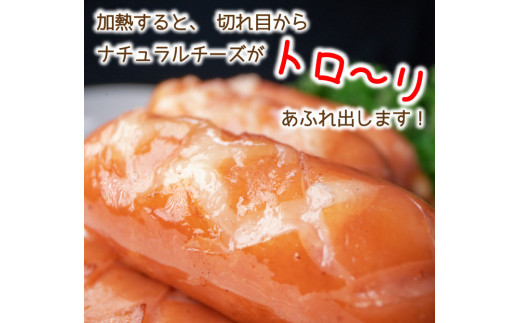 チーズでるソーセージ（5袋セット） 【1170】