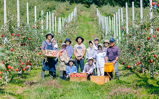 岩手県花巻市滝田産　宇津宮果樹園の林檎屋果汁りんごジュース30缶セット【ジョナゴールド】【635-2】