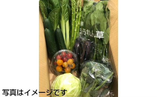 イーハトーヴ野菜A お試しセット 6品～ 【029】
