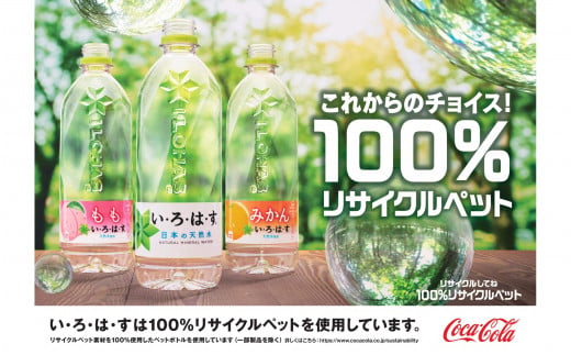 縺ス・繧搾ス・縺ッス・縺 繧キ繝」繧、繝ウ繝槭せ繧ォ繝繝 540mlPETテ24譛ャ繧サ繝繝 縲1418縲